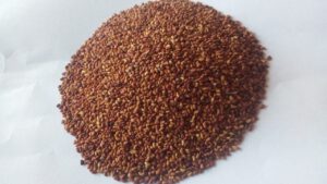 Alfalfa(Lucerne)-Grass-Seeds