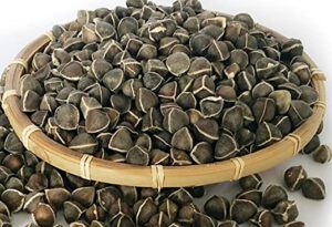 Moringa Seeds